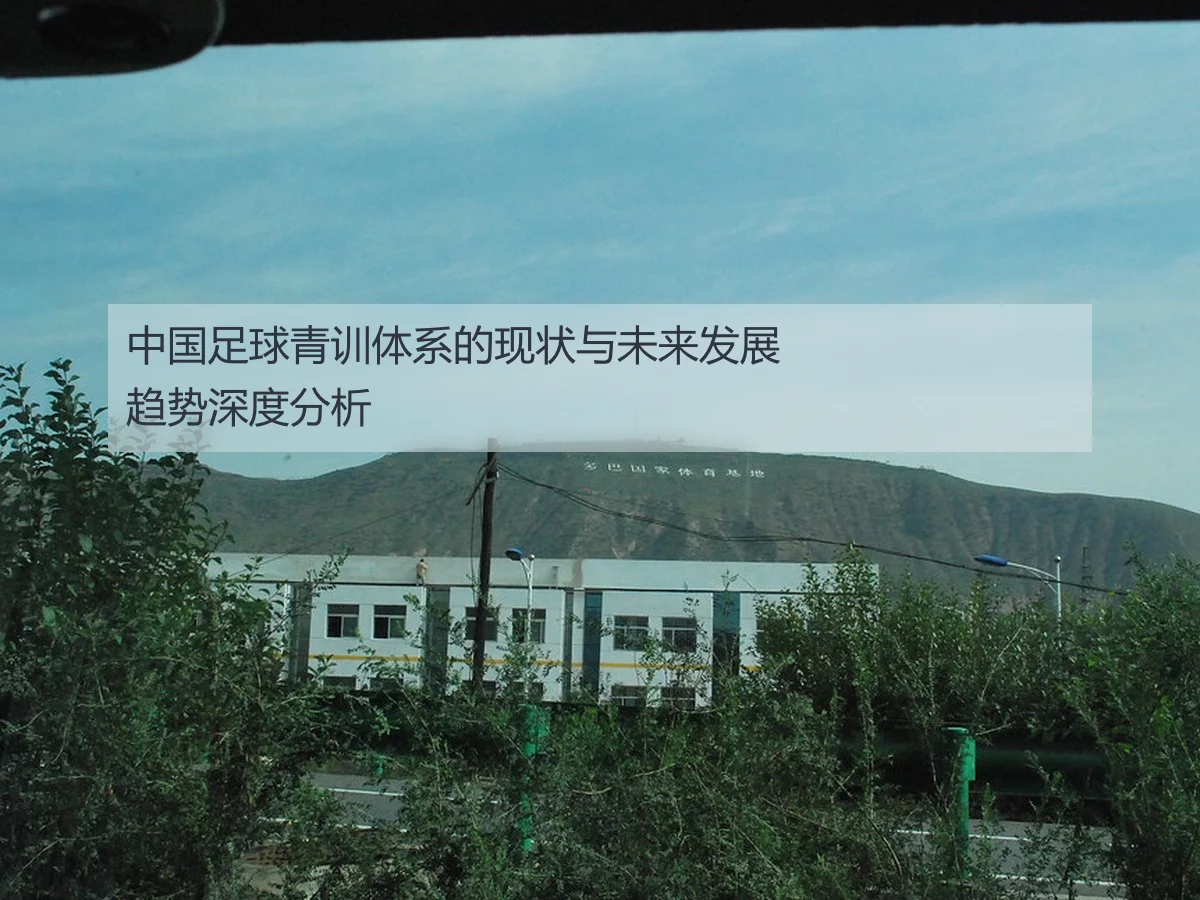 中国足球青训体系的现状与未来发展趋势深度分析