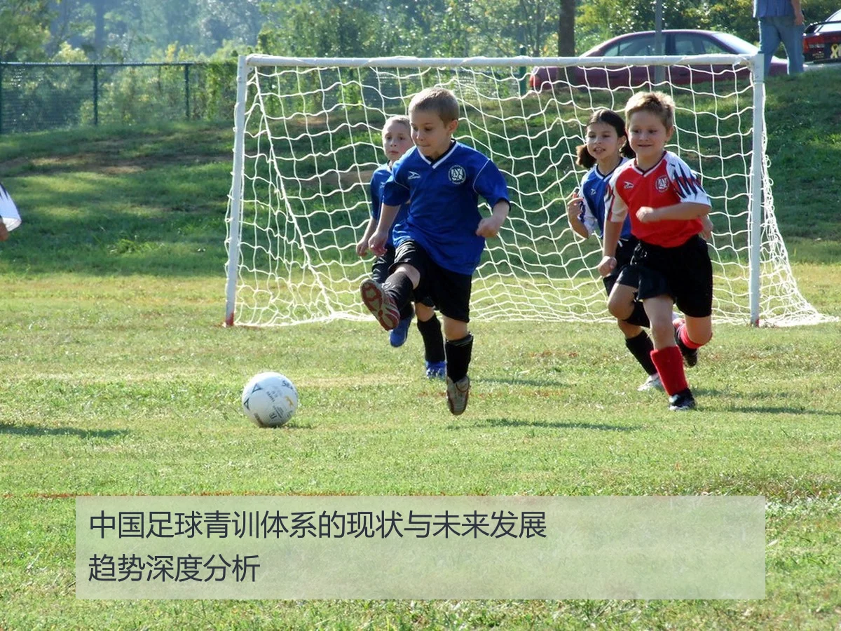 中国足球青训体系的现状与未来发展趋势深度分析